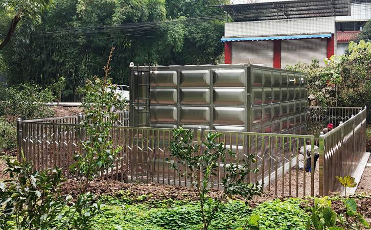 1749699817173955.jpg 303.jpg